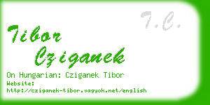 tibor cziganek business card